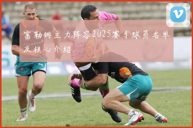 富勒姆主力阵容2025赛季球员名单及核心介绍