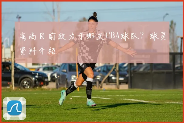 高尚目前效力于哪支CBA球队?球员资料介绍