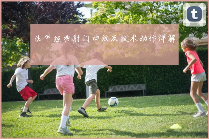 法甲经典射门回放及技术动作详解