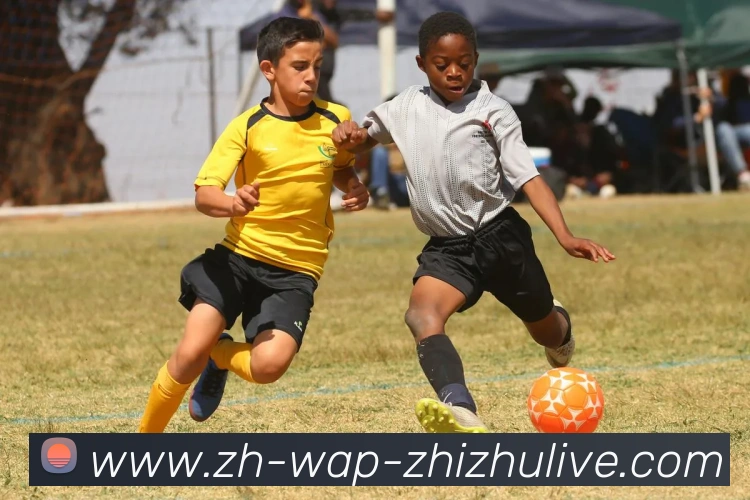 蜘蛛直播平台生态图