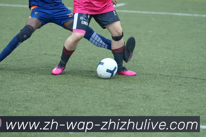 蜘蛛直播全站App